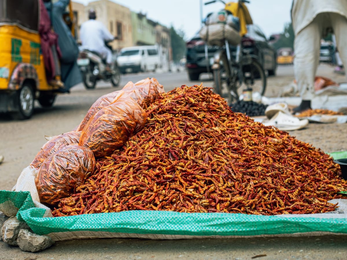 Spice grading floor, Unjha